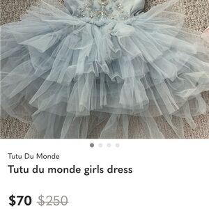 Tutu Du Monde Elegant Blue Tulle Dress